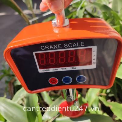 Cân treo đài loan OCS 500kg
