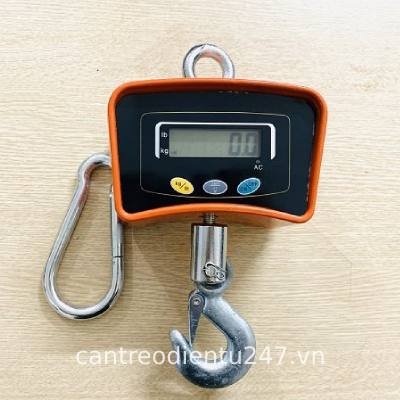 Cân treo điện tử Caston II THB 500kg